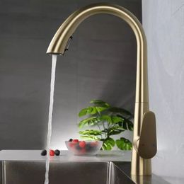Kitchen Water Tap Hot and Cold Faucet Gourmet Taps Gun Gray Pull Out Sprayer Flexible Kitchen Accessories 304 Stainless Steel