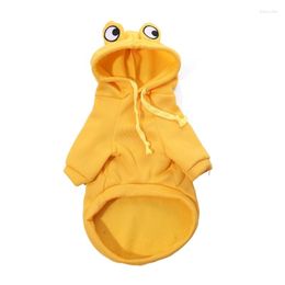 Dog Apparel Hoodie For Medium Large Dogs Halloween Theme Spring Clothes Outdoor Use