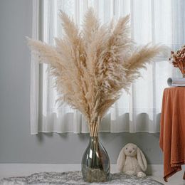 Decorative Flowers 10Stems Natural Pampas Grass Tall Decor - Dried Large Long Pompas Boho For Floor Vase Wedding Home TableRoom