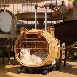 Cat Carriers Kawaii Wheels Cats Backpack Female Unique Outdoor Cute Travel Dog Bag Portable Cartoon Girl Mochila Para Gato Pet Accessories