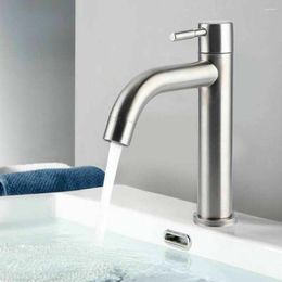 Bathroom Sink Faucets Stainless Steel Silver Single Cold Faucet Counter Basin