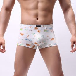 Underpants KWAN.Z Men Underwear Boxer Cartoon Print Cotton Ropa Interior Hombre European Size Calzoncillo Men's