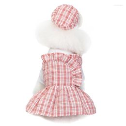 Dog Apparel Spring Summer Pet Clothes Thin Models Cute Plaid Dress Small Medium Sized Teddy Chihuahua For Dogs