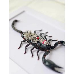 Decorative Objects Figurines Mechanical beetle scorpion specimens decorative collection of insect home decor accessories metal figurine 230812