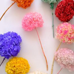 Decorative Flowers Real Natural Fresh Preserved Dried Wood Hydrangea Flower Christmas Ornaments And Offers Birthday Decoratio