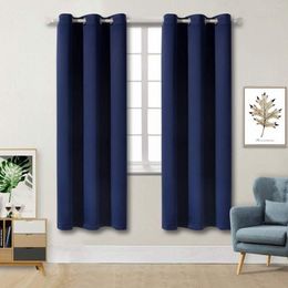 Curtain Darkening Thermal Insulated Panels For Living Room Baby Blue Colour Shower Winter Drapes With Hook