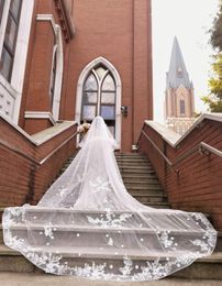 Bridal Veils Brusher Layer Wedding Veil With Appliques And Flowers Unique Long Comb MM