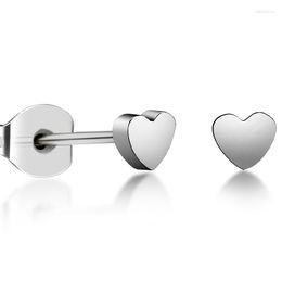 Stud Earrings TGNEL Geometric Nickel Free Pure Titanium Heart Simple Flat Hypoallergenic For Sensitive Ears