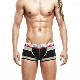 Underpants SEOBEAN Men's Cotton Underwear Fashion Low-Waist Colour Matching Boxer Shorts Breathable Comfortable Boxers