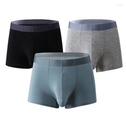 Underpants Boxer Shorts Mens Underwear Modal Male Penis Sheath Breathable Men Panties Sexy Man