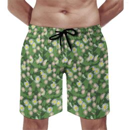 Men's Shorts Gym Daisy Floral Print Casual Beach Trunks Green Leaves Males Comfortable Sportswear Large Size Board Short Pants