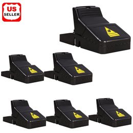 6 Pack Mouse Traps Rat Mice Killer Snap Trap Power Rodent Heavy Duty Pest Trap