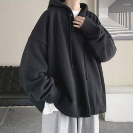 Men's Sweaters Windproof Coldproof Casual Hooded Pullover Warm Knitted Sweatshirt Daily Clothing