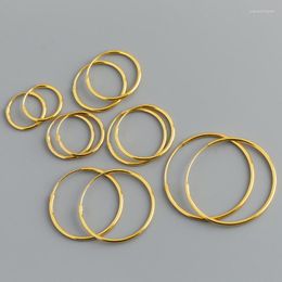 Hoop Earrings Minimalist 925 Sterling Silver Ins Bohemian Statement Big For Women 2023 18K Gold Plated Huggies Jewellery