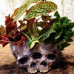 Novelty Items Retro Skull Ornament Resin Flowerpot Idyllic Outdoor Garden Decoration Horror Halloween Skull Decoration Crafts J230815