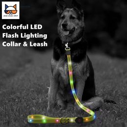 Dog Apparel LED Leash Collar Set Waterproof Reflective Nylon Rope Rechargeable USB Flashing Light for Night Safety Walking Pet 230814