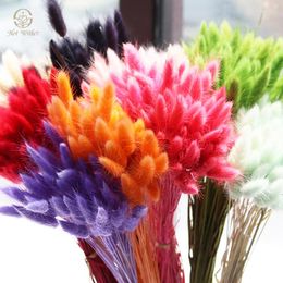 Decorative Flowers Natural Dried Flower Tail Grass 20/50pcs/Bunch Colorful Tails Dry Bouquets Plant Stems Material Home Decor