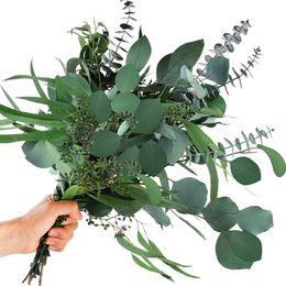 Decorative Flowers Wreaths 12Pcs Mixed Real Dried Eucalyptus Leaves Stems Preserved Silver Dollar Branches Bouquets for Vase Floral Arrangements 230814