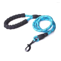Dog Collars Wholesale Durable No Slip Reflective Waterproof Rope Leash With Padded Handle