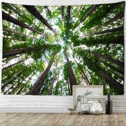 Tapestries Tree Top Sky Forest Tapestry Wall Hanging Nature Plant Landscape Art Room Dorm Aesthetic Room Home Decor R230815