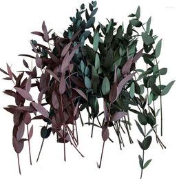 Decorative Flowers 50PCS/10-20CM Real Natural Preserved Eucalyptus Small Dried Leaves Branches DIY For Candle Making Supplies Resin Crafts