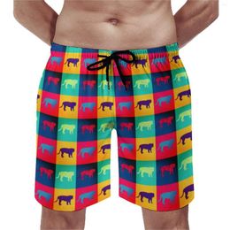 Men's Shorts Colorful Tiger Gym Art Style Casual Beach Short Pants Man Custom Running Comfortable Trunks Gift Idea