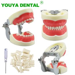 Other Oral Hygiene Child Dental Model With 24pcs Removable Resin Teeth Typodont Jaw Model Dentist Student Teaching Practice Demonstration Tools 230815