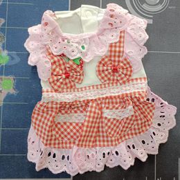 Dog Apparel Plaid Strawberry Small Clothes Summer Cotton Lace Girl Princess Pet Cat Maid Skirt Dresses Red Blue Outfit Chihuahua Yorkie