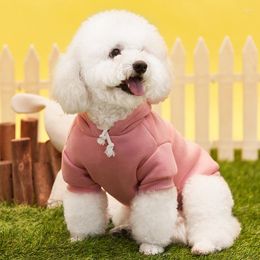 Dog Apparel Autumn And Winter 2023 Pet Clothes Cat Cardigan Pyjamas Two Feet Plus Cashmere Hoodie Manufacturers Direct Sales