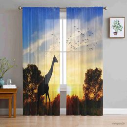 Curtain Giraffe Scenery Sun Animal Plant Print Design Sheer Curtains for Living Room Translucidus Tulle Curtains Bedroom Chiffon Curtain R230816