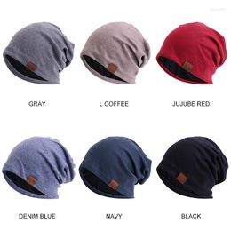 Berets Autumn And Winter Imitation Cashmere Solid Colour Pile Heap Cap Double Layer Warm Leather Tag Confinement Sleeve JDU-