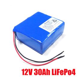 3000 cycle times rechargeable lifepo4 12v 30ah lithium battery + charger