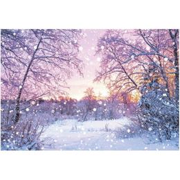 Party Decoration Christmas Backdrop Winter Forest Snow Scene Pography Background Year Xmas Po Booth Studio Props Drop Delivery Home Dhdvi