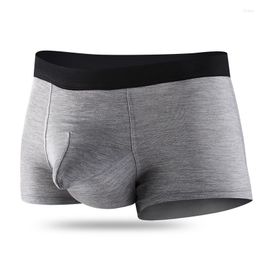 Underpants Men's Underwear Boxers Shorts Modal Panties Man JJ Pouch Penis Male Boxershorts Cueca Ropa Interior Hombre