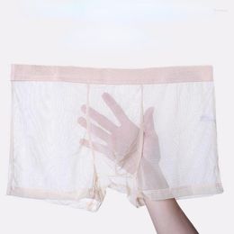 Underpants Underwear Ultra-thin Transparent Boxershorts Male Mesh Slips Homme Panties Boxer Shorts Comfortable Men's