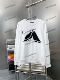 xinxinbuy Men women designer Sweatshirt Bird patch letter embroidery sweater Grey blue black white S-3XL