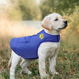 Dog Apparel Double Wearable Clothes Waterproof Windbreaker Coat Jacket Winter Clothing Costume For Small Medium Large Dogs Ropa Para Perros