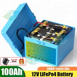 Lithium Customized lifepo4 3.2V 12v 100ah lifepo4 battery pack energy storage power Battery with BMS + 10A charger