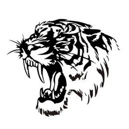 28 28CM Reflective Car Sticker Decals TIGER Head Hood Of Car And Motorcycle Side Car Stickers Steller Black Silver Yellow CT-5762363