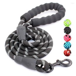 Dog Collars 2023 Anti Slip Soft Padded Handle 5FT 1.5M Highly Reflective Threads Nylon Climbing Rope Leash