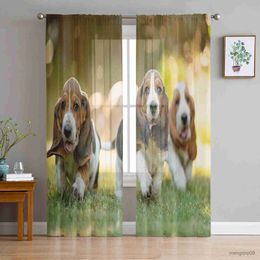 Curtain Puppy Grass Paw Cute Tongue Window Treatment Tulle Modern Curtain for Bedroom Living Room Sheer Curtains Home Hotel Coffee Store R230816