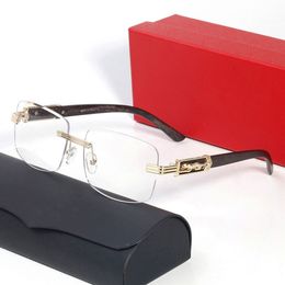 Transparent Sunglasses for Men Womens Brand Polarised Eyeglasses Man European Style Goggle Outdoor Beach Sport Women