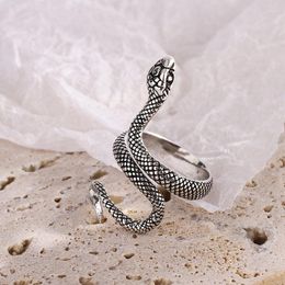 Cluster Rings 925 Sterling Silver Winding Snake Women's Ring Luxury Vintage Jewellery Adjustable Wholesale Jewellery Offers With