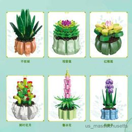 Blocks 6pcs/Sets DIY Potted Plants Hyacinth Succulents Cactus Lotus Bonsai Gardens Romantic Building Blocks Model B Kids Kits Toy R230817