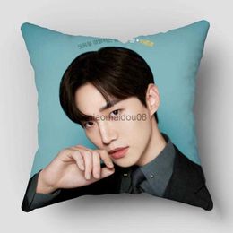 Pillow Case King The Land TV case Polyester Fabric Throw s Sofa Home Decoration Accessories Cover 7.11WJY HKD230817