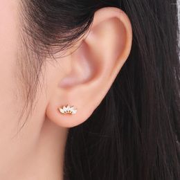 Hoop Earrings Cubic Zirconia Pave Earring Stainless Steel 18K PVD Plating Fashion Jewellery