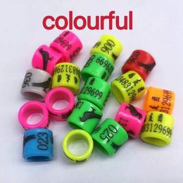 Other Pet Supplies 100pcs colour ring Multi Colour plastic all super beautiful Customised bird 230816