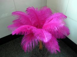 Wholesale a lot beautiful ostrich feathers 25-30cm for Wedding Centrepiece Table Centrepieces Party Decoraction supply Top Quality