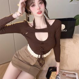 Women's Sweaters 2023 Spring Autumn Fashion Casual Nice Women Sweater Woman Female OL Sexy Long Sleeve Top Wholesale Drop Vy2051