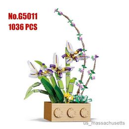 Blocks Building Blocks Flower Gladiolus Potted Flowers Assembling B DIY Home Decoration Orchid Ornaments Children's Toys Gifts R230817